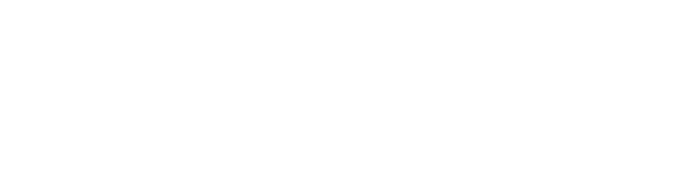 Global Visionn